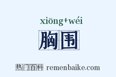 胸围是什么意思的图片